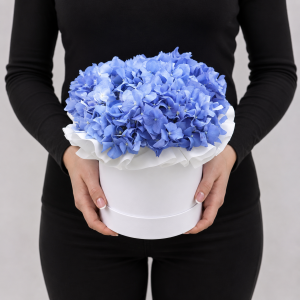 Композиція «Небесна Гармонія»